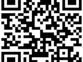 The Church Aston Mouse