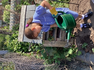 Flower Planting in School