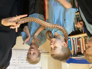 The Animal Man Visit to School