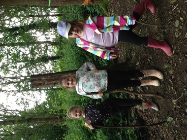 Fun in the Forest