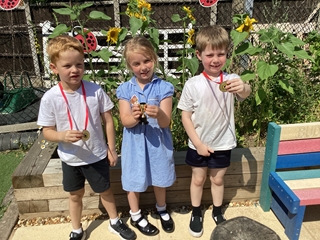 Sunflower competition